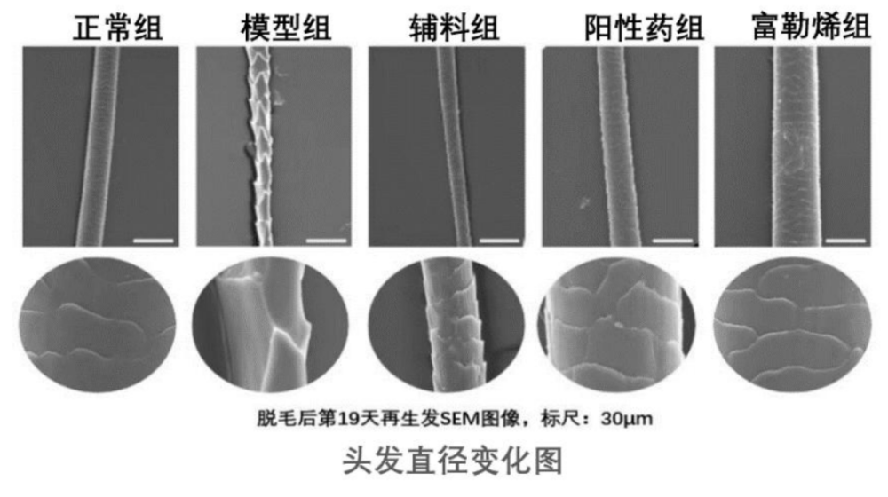 仁泽地产老总最新消息,仁泽地产老总最新消息，引领行业的新动态