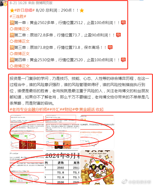 2023管家婆资料正版大全澳门,澳门正版大全，探索2023年管家婆的世界