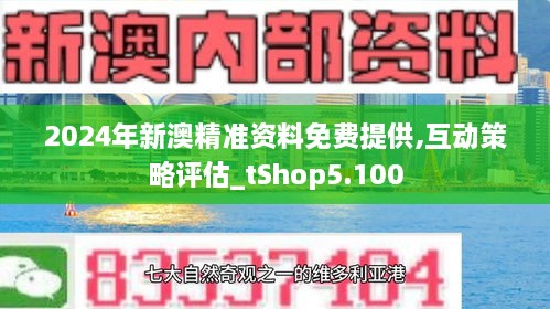 新澳2024年精准资料,新澳2024年精准资料解析