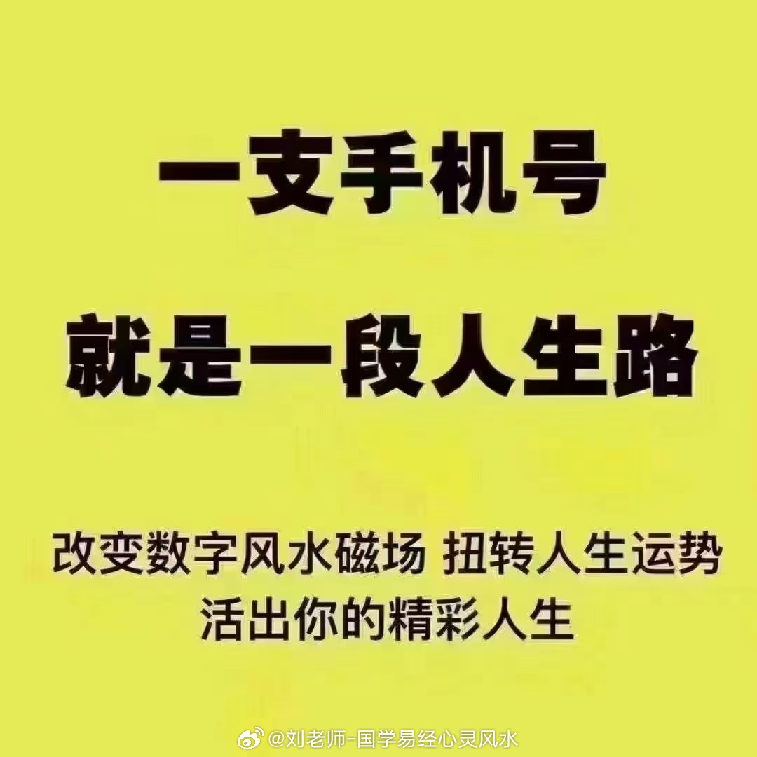 777778888精准跑狗,精准跑狗，探索数字世界中的77777与888的魅力