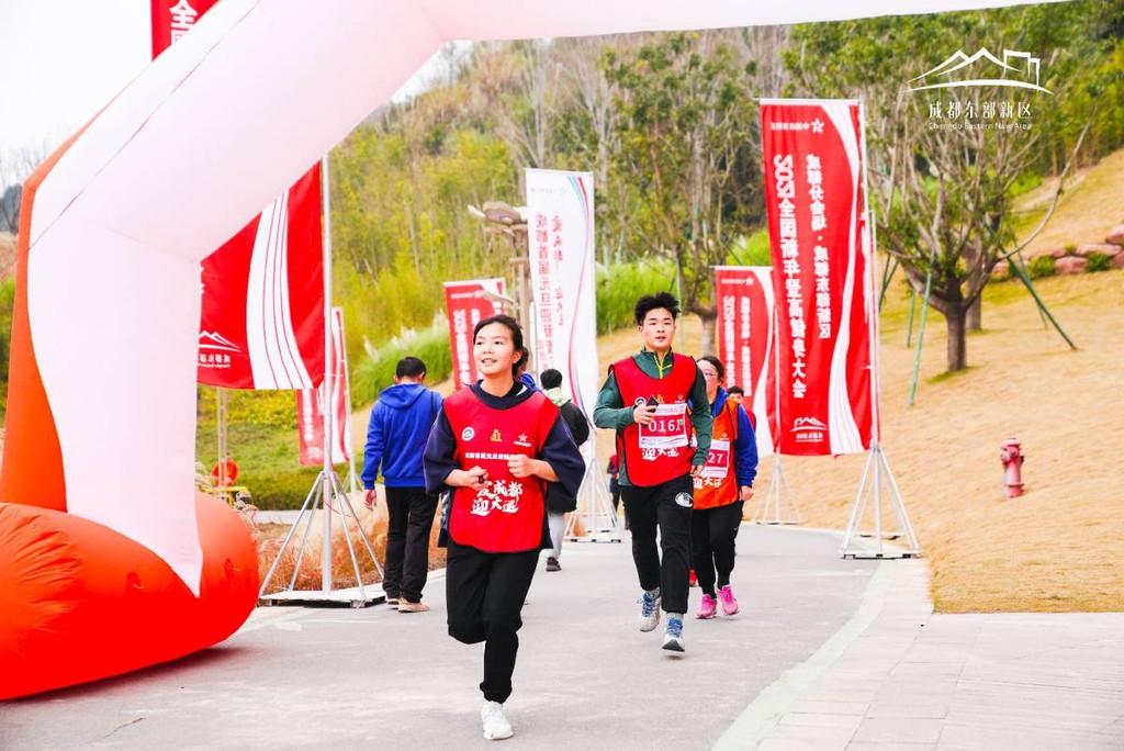 2024香港免费精准资料,探索未来之门，香港免费精准资料的深度解读（2024年展望）