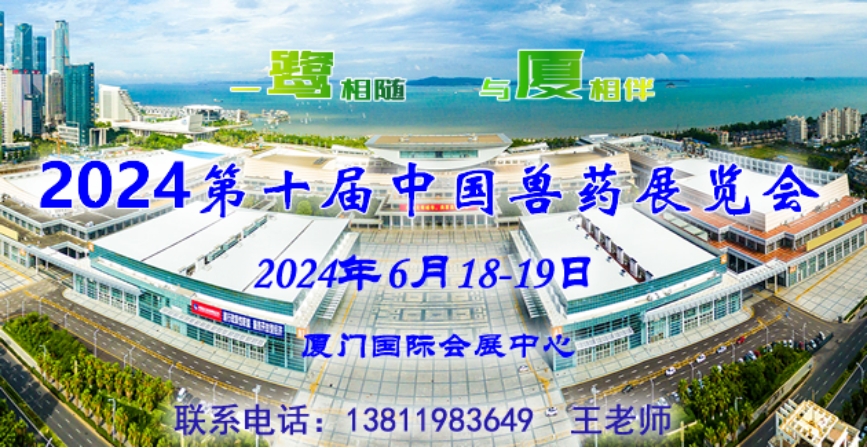 2024新澳门精准资材免费,探索未来，2024新澳门精准资材免费展望