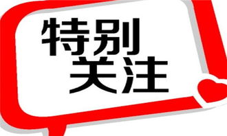 2024正版新奥管家婆香港,探索香港正版新奥管家婆的独特魅力与未来展望