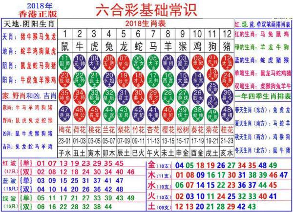 澳门正版资料大全资料生肖卡,澳门正版资料大全资料生肖卡，深度解析与探讨